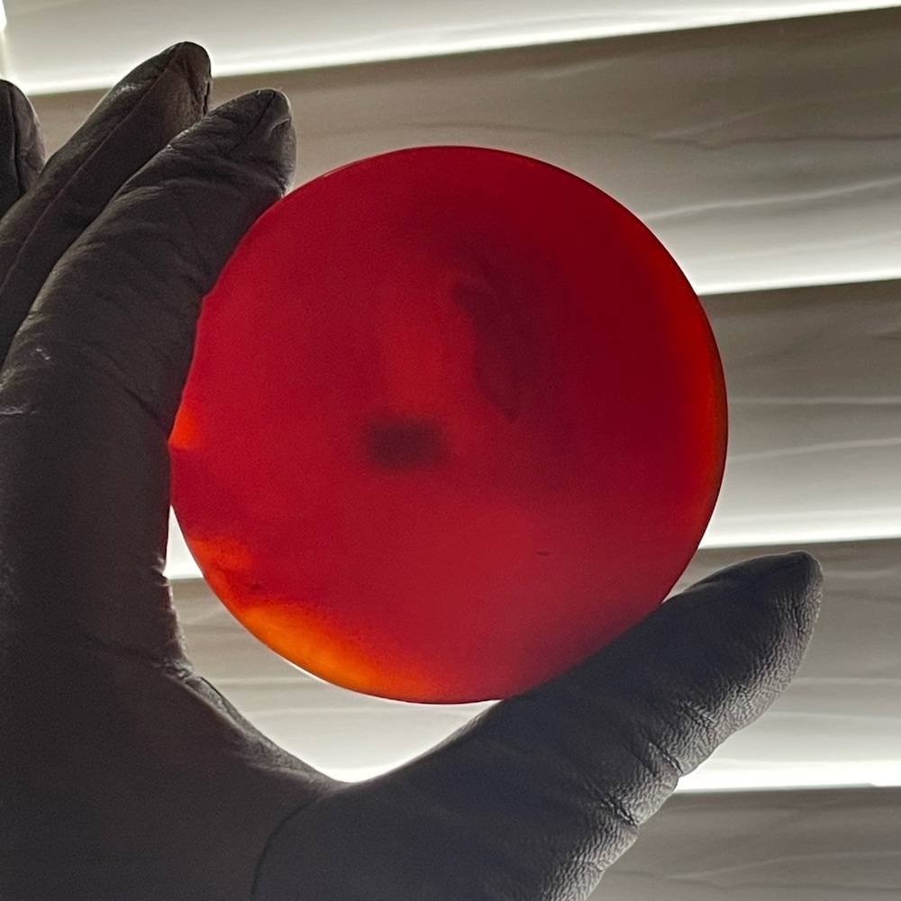 Agate Art Piece - Carnelian Hand carved coaster/display piece